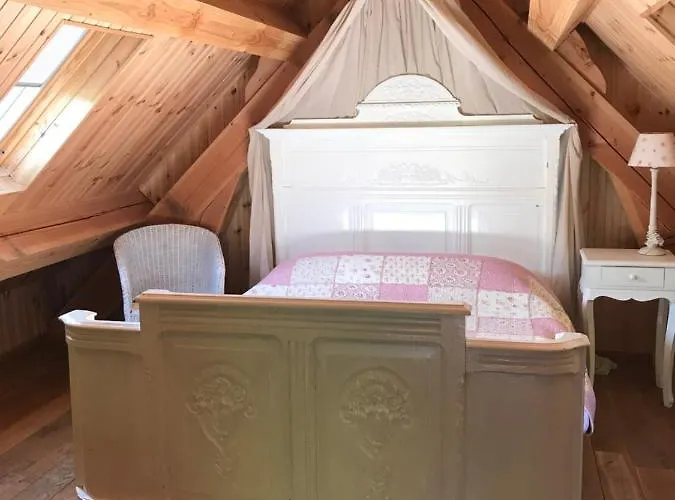 Nature 4-persoons Ouddorp