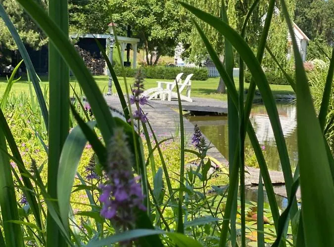 Nature 4-persoons Vakantiehuis *