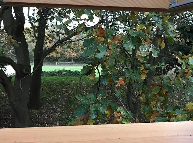 Nature 4-persoons Vakantiehuis