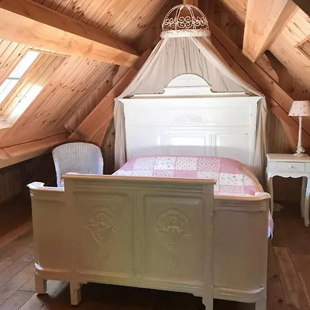 Nature 4-persoons Ouddorp