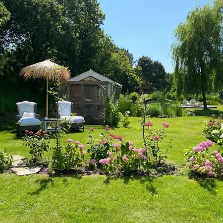 Nature 4-persoons * Ouddorp